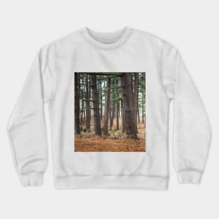 A walk in the woods Crewneck Sweatshirt